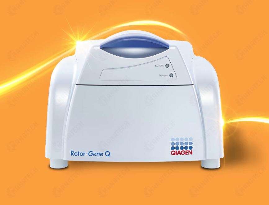 Real Time PCR