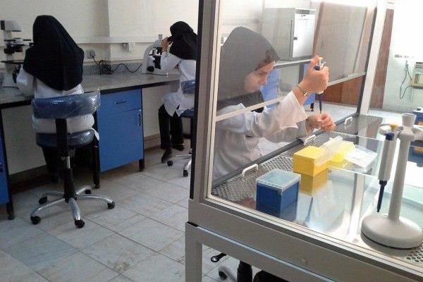 آزمایشگاه های تشخیص پزشکی در مرز ورشکستگی