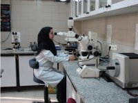 تحولی اساسی در نظام آزمایشگاهی کشور ایجاد می شود