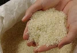 برنج تراریخته وارد نمی شود/ آغاز برچسب گذاری محصولات